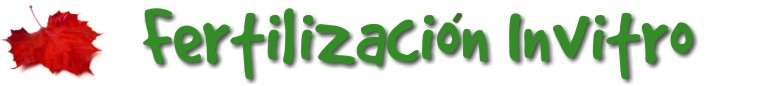 FERTLIZACION IN VITRO IVF